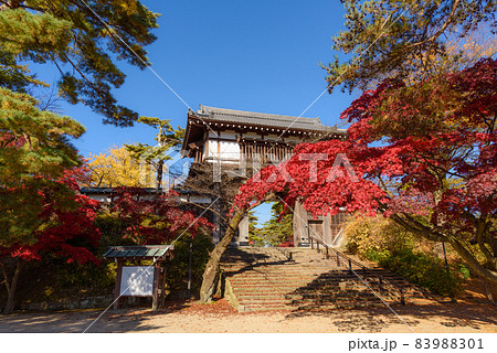 千秋公園の紅葉 千秋公園の紅葉 83988301