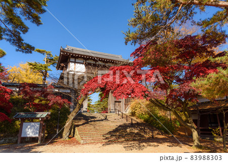 千秋公園の紅葉 83988303