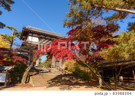 千秋公園の紅葉 83988304