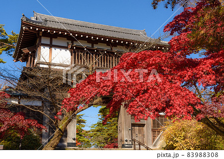 千秋公園の紅葉 83988308