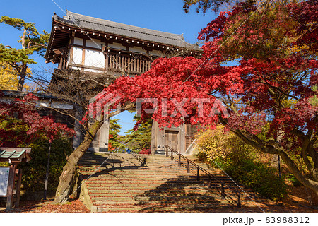 千秋公園の紅葉 83988312