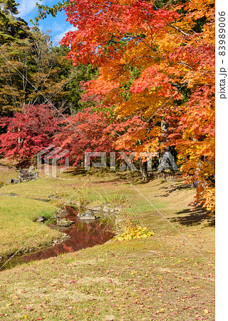 秋の毛越寺 秋の毛越寺 83989006