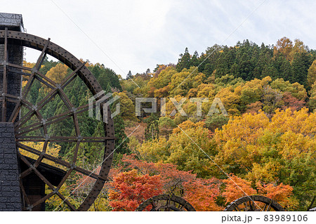 荘川・郡上の紅葉 荘川・郡上の紅葉 83989106