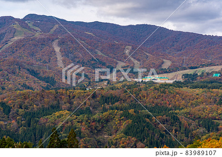 荘川・郡上の紅葉 83989107