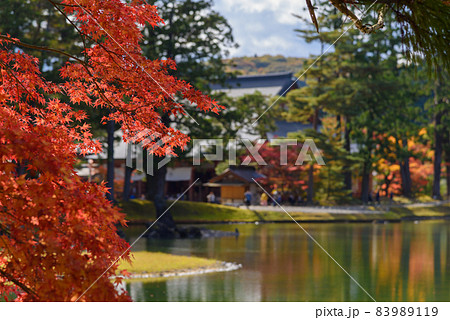 秋の毛越寺 秋の毛越寺 83989119