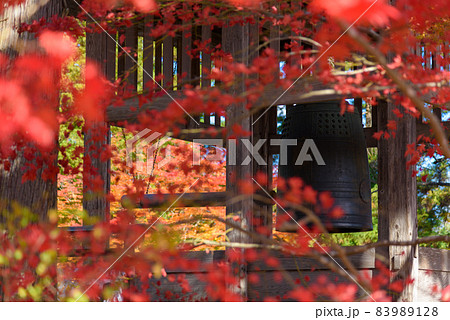 秋の毛越寺 秋の毛越寺 83989128