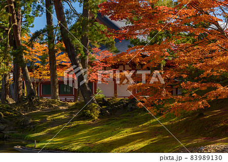 秋の毛越寺 83989130