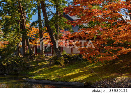 秋の毛越寺 83989131