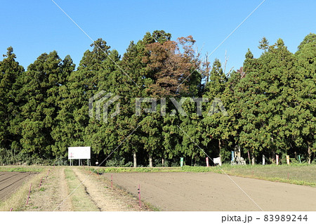 鳥居強右衛門磔死の碑 83989244