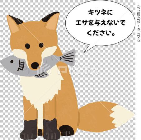 キタキツネのイラスト素材　エサを与えないでください 83989337