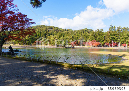 秋の毛越寺 秋の毛越寺 83989393
