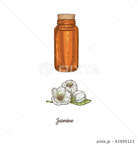 Bottle of jasmine aromatic oil and flowers, vector illustration isolated. 83990123