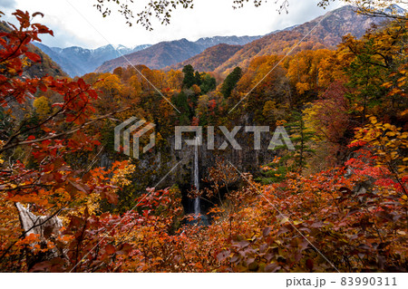 岐阜県白川村・白川郷と周辺の秋の風景 83990311
