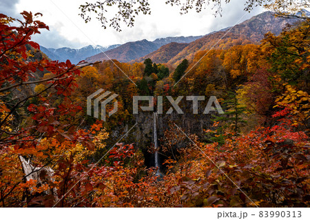 岐阜県白川村・白川郷と周辺の秋の風景 岐阜県白川村・白川郷と周辺の秋の風景 83990313