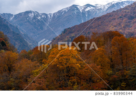 岐阜県白川村・白川郷と周辺の秋の風景 岐阜県白川村・白川郷と周辺の秋の風景 83990344