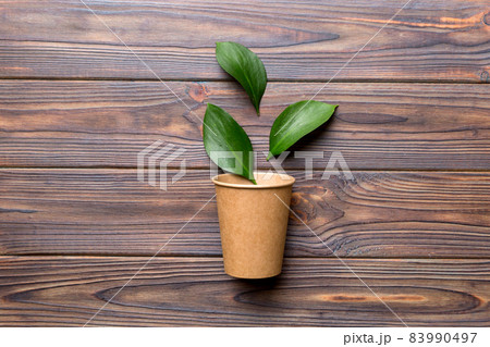 Zero waste cup with green leaf, environmentally friendly, disposable, cardboard, Eco-friendly coffee cup. top View with copy space 83990497