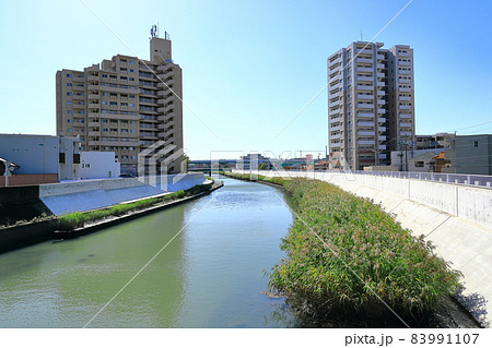 名古屋市瑞穂区南区　呼続橋から眺める山崎川の風景 83991107