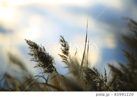 フル 屋外 室外 83991220