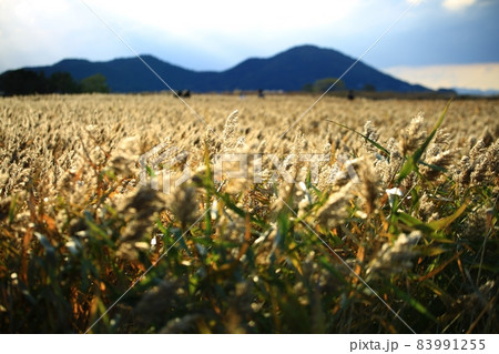 フル 屋外 室外 83991255