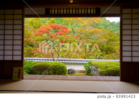海住山寺本坊借景の庭園 83991423