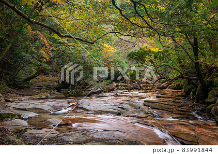 紅葉の色着く藤河内渓谷にエメラルドグリーンの川が流れる風景 83991844