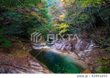 紅葉の色着く藤河内渓谷にエメラルドグリーンの川が流れる風景 83991850