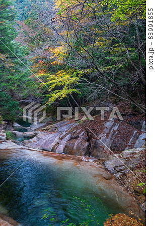 紅葉の色着く藤河内渓谷にエメラルドグリーンの川が流れる風景 紅葉の色着く藤河内渓谷にエメラルドグリーンの川が流れる風景 83991855