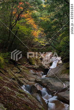紅葉の色着く藤河内渓谷にエメラルドグリーンの川が流れる風景 紅葉の色着く藤河内渓谷にエメラルドグリーンの川が流れる風景 83991884