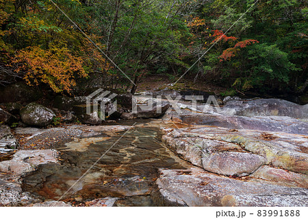 紅葉の色着く藤河内渓谷にエメラルドグリーンの川が流れる風景 83991888