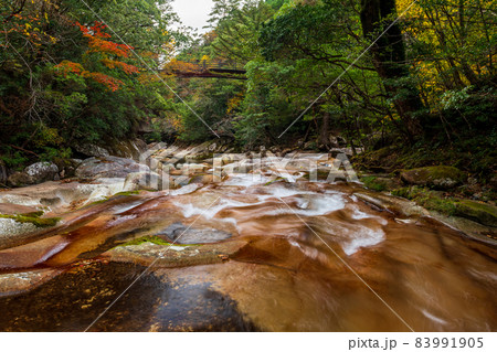 紅葉の色着く藤河内渓谷にエメラルドグリーンの川が流れる風景 紅葉の色着く藤河内渓谷にエメラルドグリーンの川が流れる風景 83991905