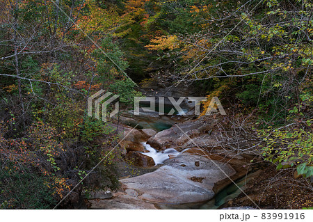紅葉の色着く藤河内渓谷にエメラルドグリーンの川が流れる風景 紅葉の色着く藤河内渓谷にエメラルドグリーンの川が流れる風景 83991916