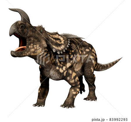 エイニオサウルス☆Einiosaurus 83992293