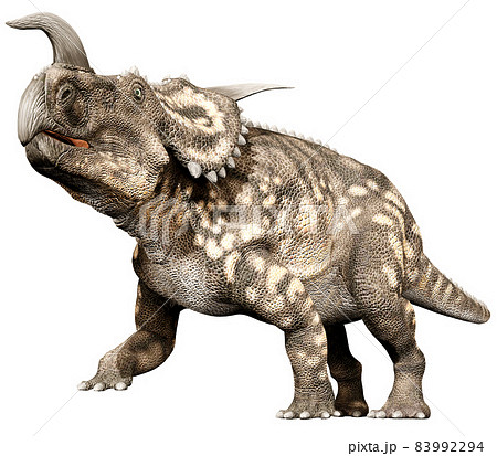 エイニオサウルス☆Einiosaurus 83992294