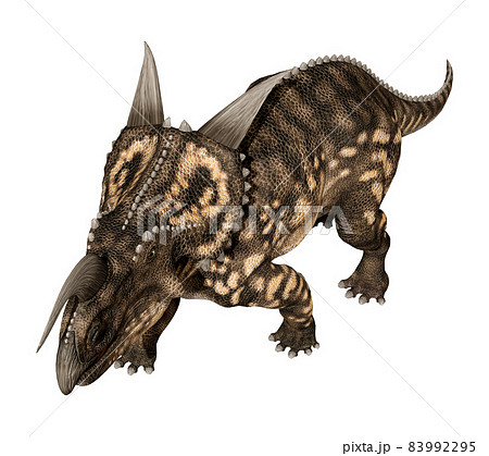 エイニオサウルス☆Einiosaurus 83992295
