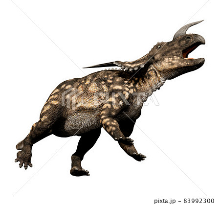 エイニオサウルス☆Einiosaurus 83992300