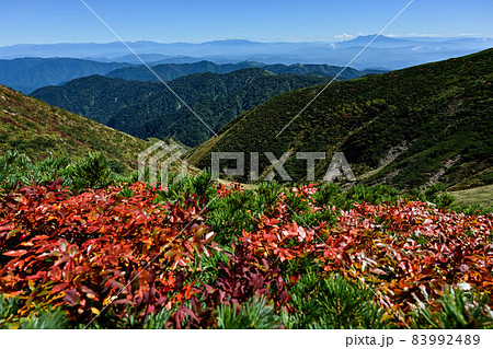 白山の初秋の風景 83992489