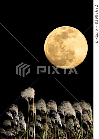 【秋イメージ】中秋の名月とススキ 83992632