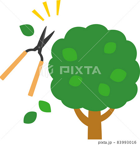 剪定ばさみで刈り込まれる木 剪定ばさみで刈り込まれる木 83993016