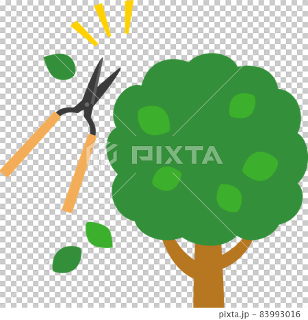 剪定ばさみで刈り込まれる木 剪定ばさみで刈り込まれる木 83993016