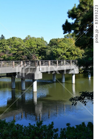 晩秋のしあわせ村 晩秋のしあわせ村 83993223