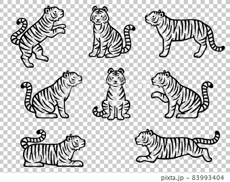 Tiger Drawing Images  Free Download on Freepik
