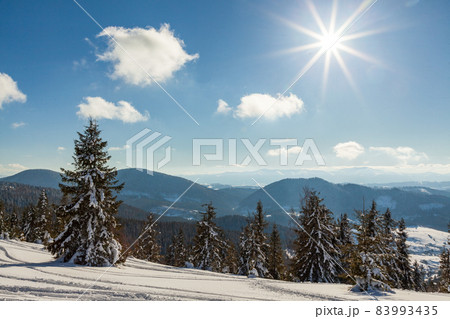 wonderfully majestic winter landscape glowing by sunlight. wintry scene. Carpathian, Ukraine, Europe. Beauty world. Happy New Year wonderfully majestic winter landscape glowing by sunlight. wintry scene. Carpathian, Ukraine, Europe. Beauty world. Happy New Year 83993435