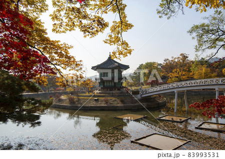 鍾路区 ソウル 韓国 83993531