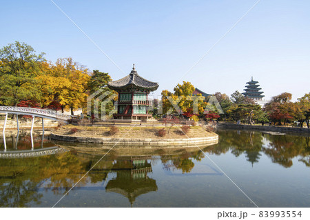 風景 香遠亭 紅葉 83993554