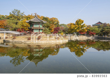 鍾路区 ソウル 韓国 83993563