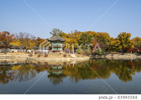 鍾路区 ソウル 韓国 83993568