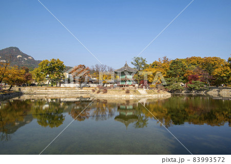 鍾路区 ソウル 韓国 83993572