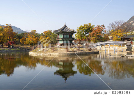 鍾路区 ソウル 韓国 83993593