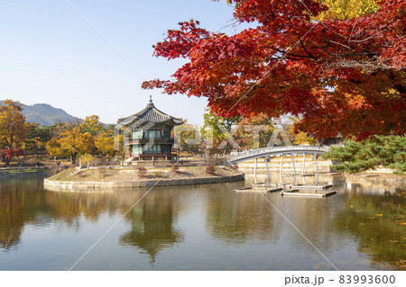 鍾路区 ソウル 韓国 83993600