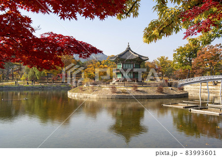 鍾路区 ソウル 韓国 83993601